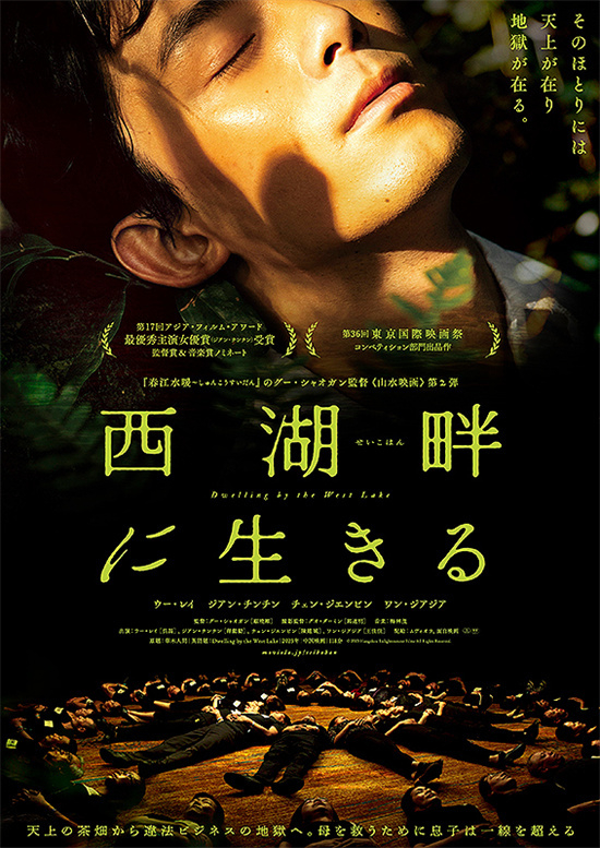 吴磊和蒋勤勤主演的《草木人间》日本版海报发布，电影将于9月27日在日本上映 -1