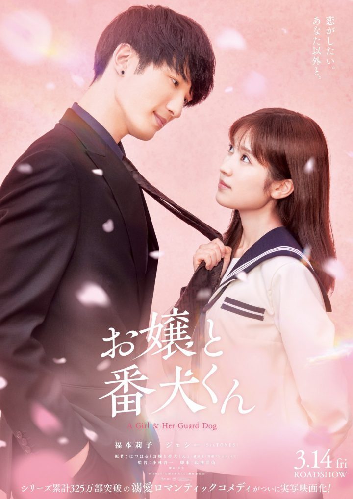 《大小姐和看门犬》情感“催化剂”樱井海音 -2