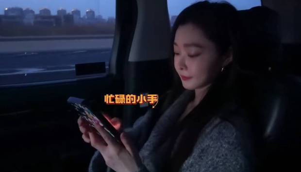 宋轶温柔挥荧光棒，观《单依纯演唱会》 -1