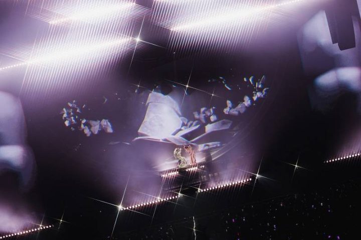 2025张远「白」巡演深圳站：春茧三重惊喜圆满落幕 -1