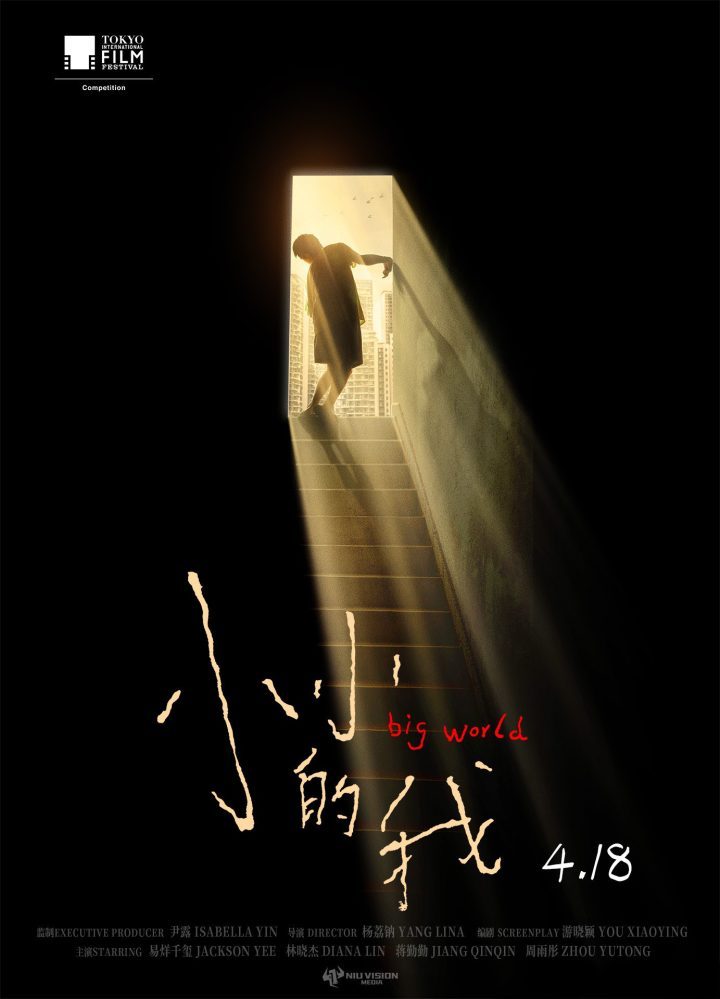 《小小的我》百度网盘超清版原声版资源在线观看（BD720P/3.9G-MP4） -1