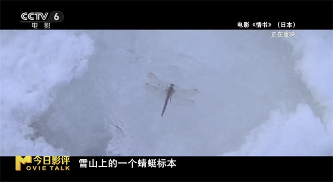 《情书》免费/加长版无修版（HD720P/3.3G-MP4）百度云盘国语版magnet磁力链接资源 -5