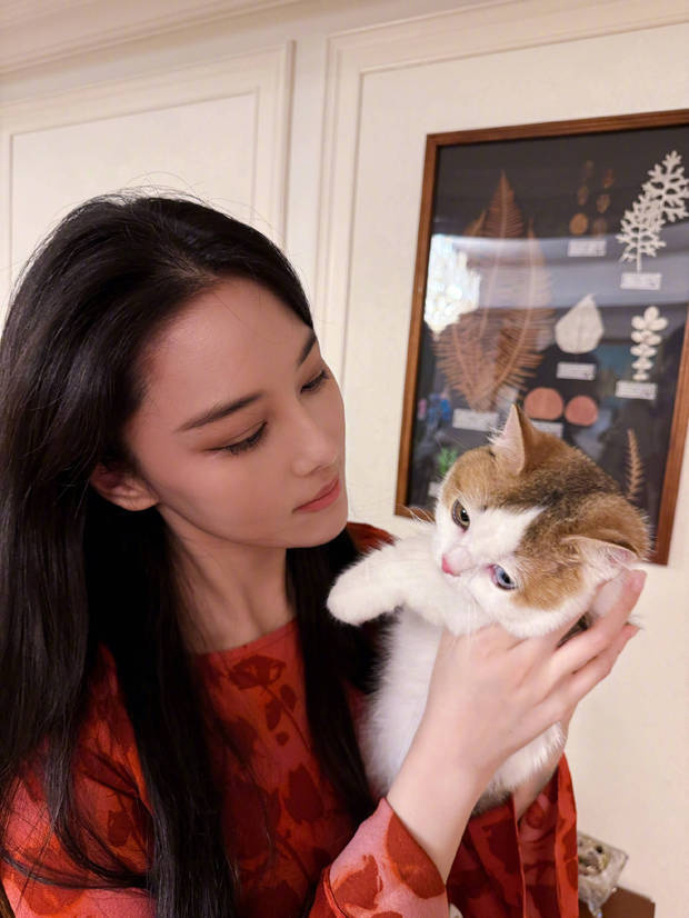 张馨予晒“居家随拍”：抱猫合影，温馨养眼 -3