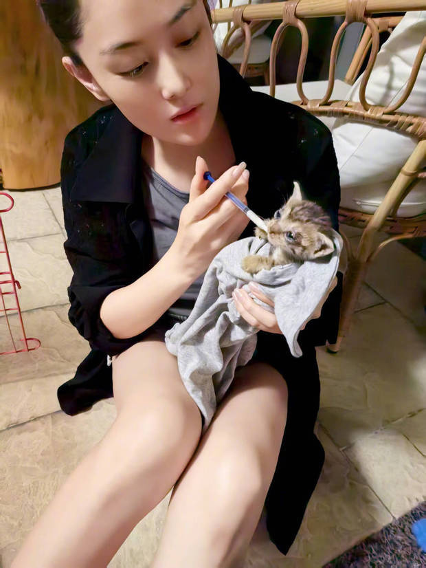 张馨予晒“居家随拍”：抱猫合影，温馨养眼 -2
