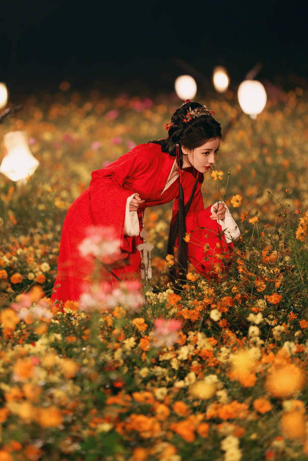迪丽热巴红衣花海中垂眸，明艳动人 -1