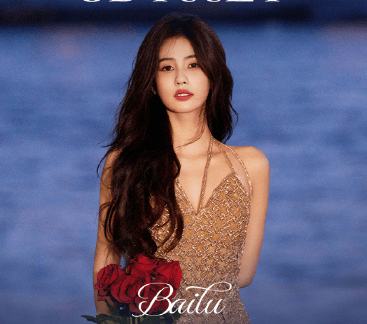 白鹿受私生骚扰报警，官方发声反对侵权 -2