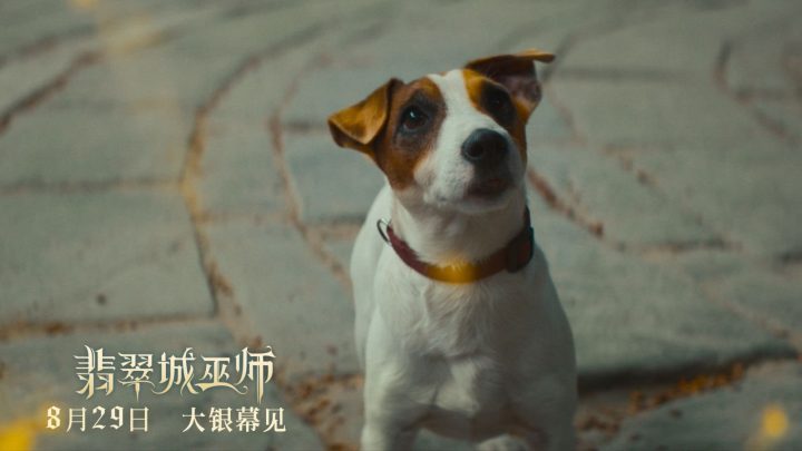 “绿野仙踪”俄版《翡翠城巫师》暑期尾声8月29日上映 -1